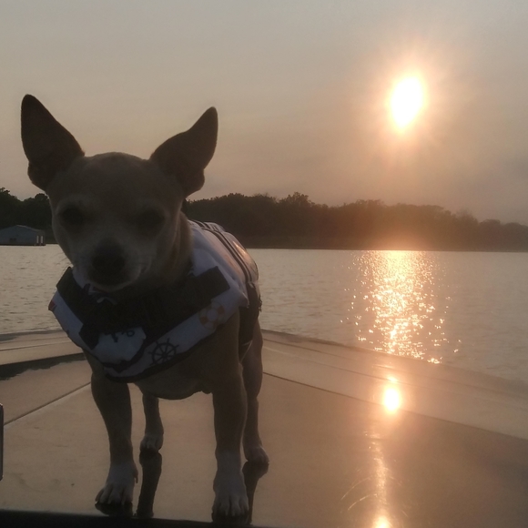 Meet your Posher, Christian - Picture 4 of 4